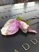 Erinnerung an den 11. September 2001 - sollten wir vergessen